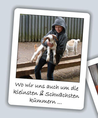 Wo wir uns auch um die kleinsten & Schwächsten kümmern ...