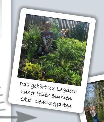 Das gehört zu Legden: unser toller Blumen- Obst-Gemüsegarten