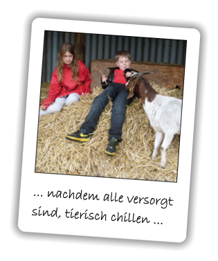 ... nachdem alle versorgt sind, tierisch chillen ...