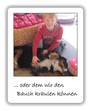 ... oder dem wir den    Bauch kraulen können