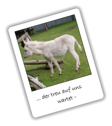 ... der treu auf uns              wartet -