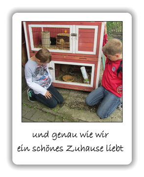 und genau wie wir  ein schönes Zuhause liebt